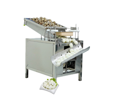 Máy lột vỏ trứng cút tự động OKASU MLVTC-300 