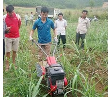 Máy Lên Luống Mitsubishi MS655