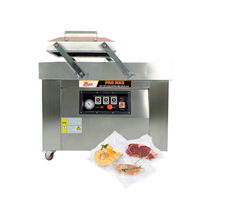 Máy hút chân không DZQ400-2SB Promax 