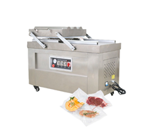 Máy hút chân không công nghiệp DZQ600-2SA