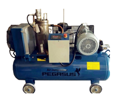 Máy nén khí trục vít Pegasus TMTV-10A