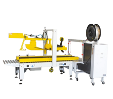 Máy đóng gói và niêm phong thùng carton tích hợp LT-FJ-3EA-101B 