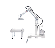 Robot xếp pallet tự động HPR-25  