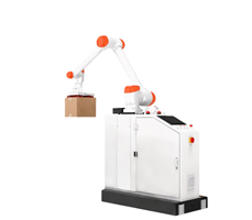 Robot xếp pallet tự động BRP20