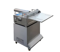 Máy hút chân không đứng DZQ-600 OT