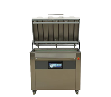 Máy hút chân không DZQ-900T 