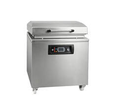 Máy hút chân không DZQ-700T