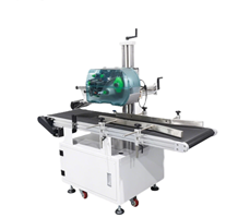 Máy in nhãn tự động trên bề măt phẳng S-300-G 