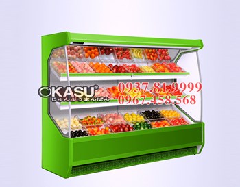 Tủ mát siêu thị Okasu SG17SY