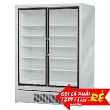 TỦ ĐÔNG ĐỨNG CARRIER LD12205LBE