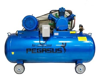 Máy nén khí PEGASUS TM-W-1.0/8-500L