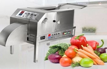 Máy thái hạt lựu hai chiều TW-1000NS