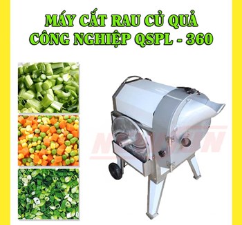 Máy cắt rau củ quả công nghiệp KN-QSPL 360