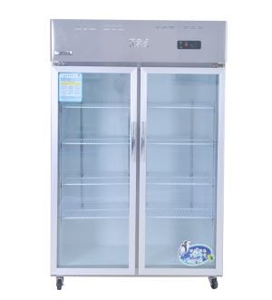 TỦ MÁT INOX 2 CÁNH QUẠT SNOW VILLAGE LC-1200CF