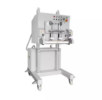 Máy đóng gói hút chân không và thổi khí dạng đứng DZQ-600LD