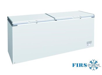 Tủ đông nằm Firscool G-BD-980