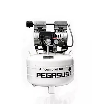 Máy nén khí piston mini không dầu Pegasus TM-OF750-40L