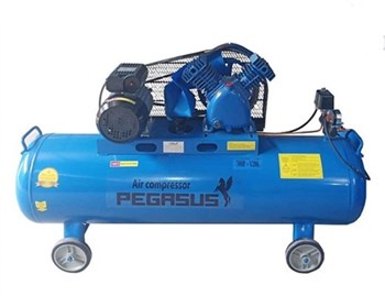 Máy nén khí công nghiệp piston Pegasus TM-V-0.25/12.5-120L