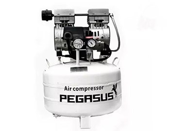 Máy nén khí mini không dầu Pegasus TM-OF550-40L
