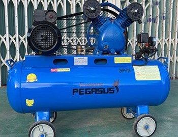 Máy nén khí công nghiệp piston Pegasus TM-V-0.17/8-70L