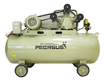 Máy nén khí công nghiệp Pegasus piston TM-V-0.36/8-230L