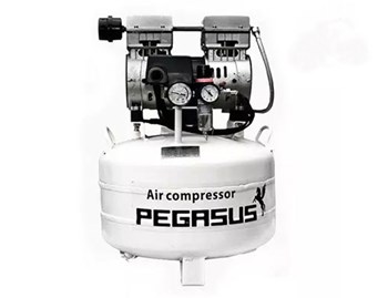 Máy nén khí piston mini không dầu Pegasus TM-OF750-50L