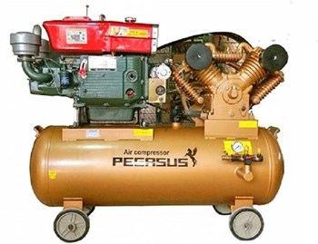 Máy nén khí piston chạy dầu Pegasus TM-W-2.0/8-500L