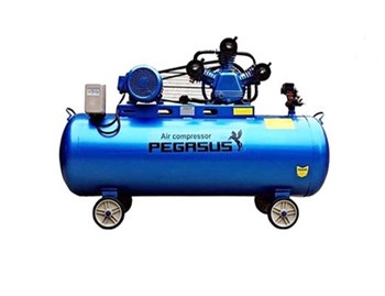 Máy nén khí công nghiệp dây đai Pegasus TM-W-0.36/8-230L
