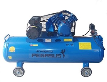 Máy nén khí Pegasus TM-V-0.25/12.5-180L