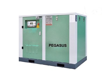 Máy nén khí trục vít Pegasus TMPM175A