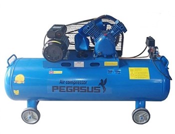 Máy nén khí Pegasus TM-V-0.25/8-180L
