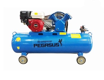Máy nén khí piston đầu nổ chạy xăng Pegasus TM-V-0.25/8-100L