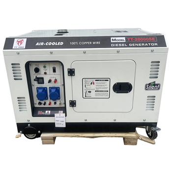 Máy Phát Điện Chạy Dầu 16Kva TT PRO TT-20000SE