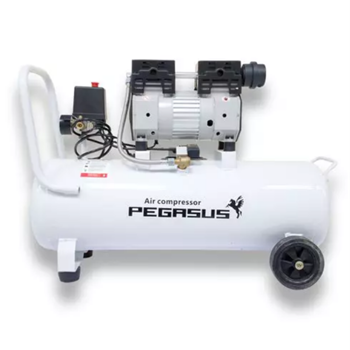 Máy nén khí không dầu Pegasus TM-OF600-25L
