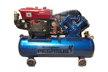 Máy nén khí đầu nổ chạy xăng Pegasus TM-V-0.25/8-100L