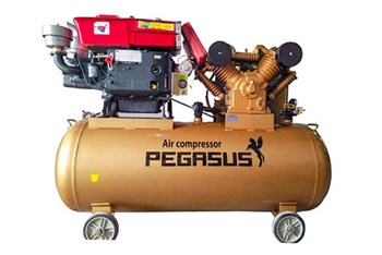 Máy nén khí đầu nổ Pegasus TM-V-1.05/12.5-330L
