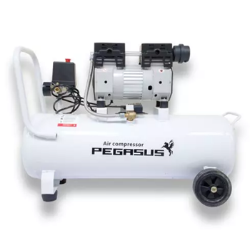 Máy nén khí không dầu Pegasus TM-OF550-35L
