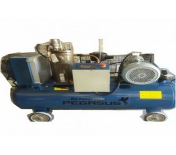 Máy nén khí trục vít Pegasus TMTV-15A