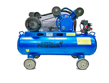 Máy Nén Khí Dây Đai Pegasus 3HP 120L TM-V-0.25/8-120L 380V