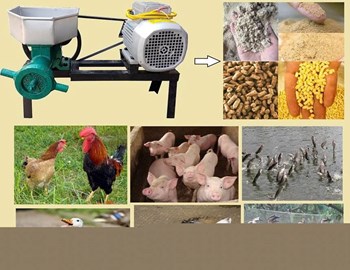 Máy ép cám viên có đầu cắt