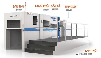 Máy bế carton tự động cấp phôi con lăn (Hoặc tùy chọn hút dưới hoặc trên) WH-1500ss/1650ss 