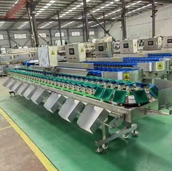 Máy phân loại trọng lượng thùng carton CQ-BD-10