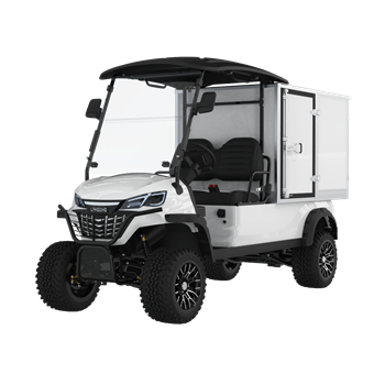 Xe điện đa dụng LQDF021BM