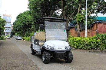 Xe điện chơi Golf LQS040A  