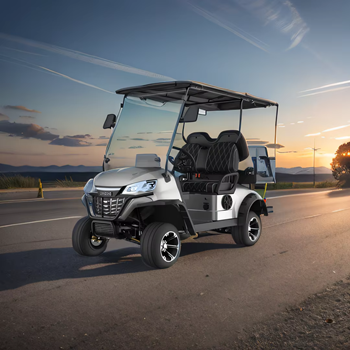 Xe golf điện 2 chỗ LQS021+2  