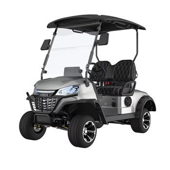 Xe điện chơi golf 2 chỗ ngồi LGS021  