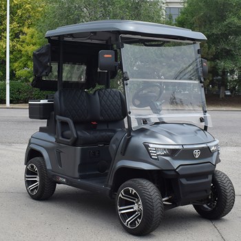 Xe golf 2 chỗ ngồi E2 màu xám 