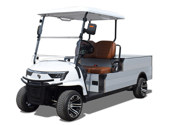 Xe tải điện 0,5 tấn EH 05