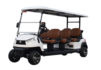Xe golf đa dụng 6 chỗ ngồi R6