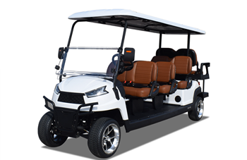 Xe golf chạy điện 8 chỗ R6C